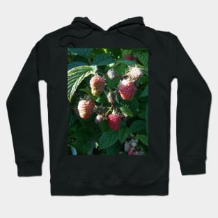 Raspberry Close Up Nature Photography Pacific Northwest Hoodie